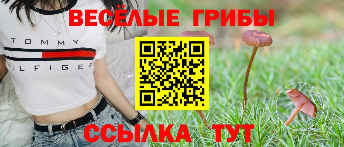 Псилоцибиновые грибы мухоморы Красногорск