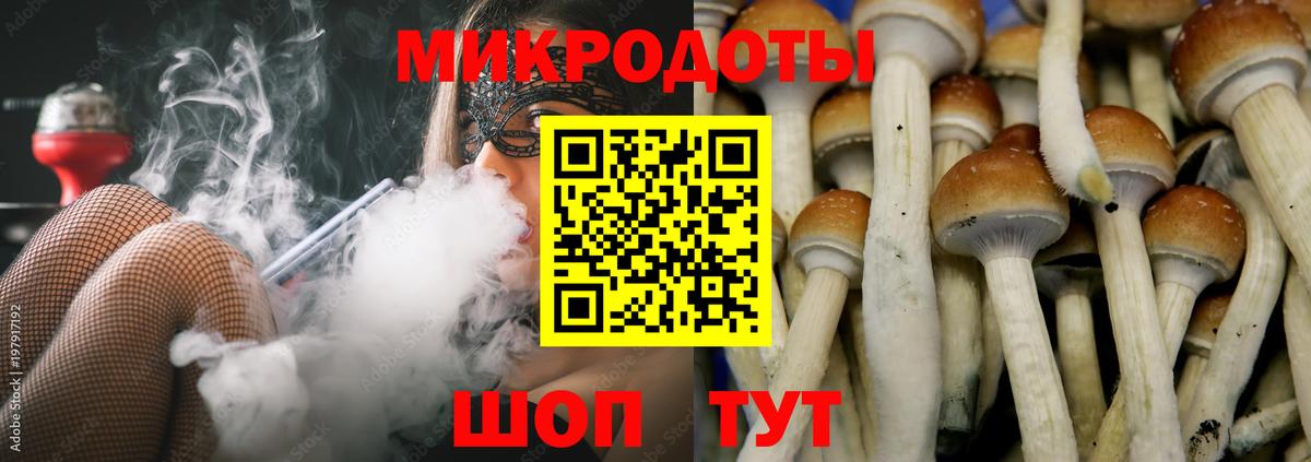 Галлюциногенные грибы прущие грибы  Вход с VPN  Красногорск  Псилоцибиновые грибы прущие грибы 